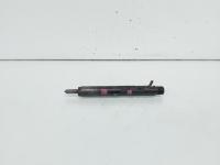 Injector Delphi, cod 8200240244, EJBR02101Z, Renault Clio 2 Coupe, 1.5 DCI, K9K (id:662404)