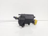 Vas filtru epurator, cod 8200279414, Renault Megane 3, 1.9 DCI, F9Q804 (idi:664084)