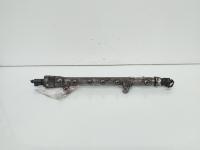Rampa injectoare cu senzori, cod 03L130089B, Skoda Rapid Spaceback (NH1), 1.6 TDI, CAY (idi:663396)