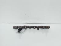 Rampa injectoare cu senzori, cod 8200620689, 0445214113, Renault Laguna 2, 1.9 DCI, F9Q754 (idi:663401)