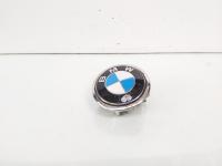 Maner deschidere haion cu sigla, cod 7207933-01, Bmw 3 Touring (E91) (idi:665783)