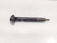Injector Delphi, cod A65110700587, Mercedes Clasa E (W212) 2.2 CDI, OM651924 (id:672751)