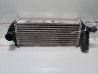 Radiator intercooler 8200427469, Renault Kangoo 1.5dci (id:288770)