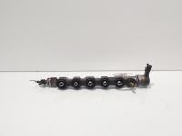 Rampa injectoare cu senzori, cod 8200610223, Opel Vivaro (F7), 2.0 DCI, M9R (idi:675049)
