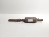 Catalizator, Ford Focus 1 Combi, 1.6 benz, FYDA (idi:674046)
