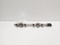 Rampa injectoare cu senzor, cod 04E133320D, Seat Ibiza 5 ST (6J8), 1.2 TSI, CJZD (idi:674408)