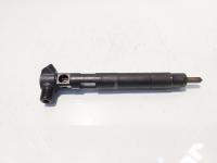 Injector Delphi, cod A6510704987, Mercedes Clasa E (W212), 2.2 CDI, OM651924 (id:677838)