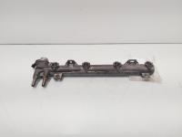 Rampa injectoare, cod 036133319AM, Audi A2 (8Z0) 1.4 benz, AUA (id:682242)