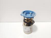 Pompa combustibil rezervor, cod 1K0919051CL, Skoda Yeti (5L), 1.4 TSI, CAX (idi:683610)