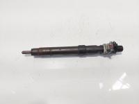Injector, cod 9686191080, EMBR00101D, Ford Galaxy 2 2.0 TDI, UFWA (id:685051)