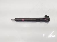 Injector Delphi, cod A6510704987, Mercedes Clasa E (W212) 2.2 CDI, OM651924 (id:683925)