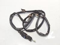 Sonda temperatura gaze, cod GM55558578, Opel Zafira B (A05) 1.9 CDTI, Z19DT (id:685483)