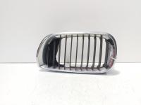 Grila bara fata centrala stanga, cod 70305490, Bmw 3 (E46) (id:686016)
