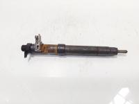 Injector, cod 9686191080, EMBR00101D, Land Rover Range Rover Evoque 2.2CD4, 224DT (id:686884)