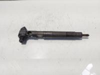 Injector Delphi, cod A6510702887, Mercedes Clasa E (W212) 2.2 CDI, OM651924 (id:685092)