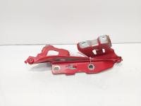 Set balamale capota fata, Audi A5 Sportback (8TA) (id:688008)