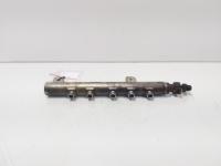 Rampa injectoare cu senzor, cod GM55209572, 0445214095, Opel Signum, 1.9 CDTI, Z19DT (idi:685408)