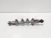 Rampa injectoare, cod 55234039, 0445214254, Jeep Renegade, 1.6 CRDI, 55263113 (id:689177)