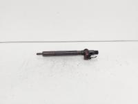 Injector Delphi, cod A6510700587, Mercedes Clasa E (W212), 2.2 CDI, OM651924 (id:689246)