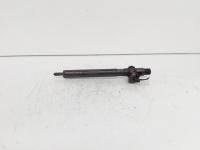 Injector Delphi, cod A6460700987, Mercedes Clasa E (W211), 2.2 CDI, OM646821 (id:692042)