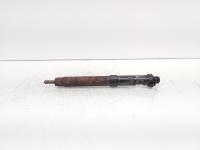Injector, cod 9686191080, EMBR00101D, Ford Galaxy 2 2.0 TDCI, UFWA (id:692039)