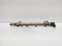 Rampa injectoare cu senzori, cod A6460700395, Mercedes Clasa E (W211) 2.2 CDI, OM646821 (id:691317)