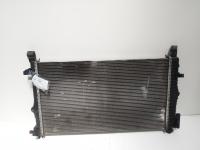 Radiator racire apa,  cod GM13241724, Opel Insignia A, 2.0 CDTI, A20DTH, cutie automata (id:694693)