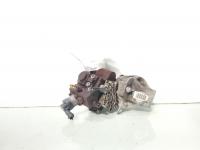 Pompa inalta presiune, cod 8200779460, Renault Megane 3 CC, 1.9 DCI, F9Q870 (idi:695729)