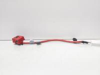 Borna baterie plus cu capsa, cod 9217035-01, Bmw 5 Gran Turismo (GT) (id:701172)