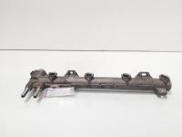 Rampa injectoare, cod 036133319AL, Vw Golf 4 (1J1) 1.6 benz, BCB (id:703037)