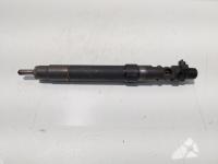 Injector, cod 9686191080, EMBR00101D, Ford Galaxy 2, 2.0 TDCI, UFWA (id:700551)