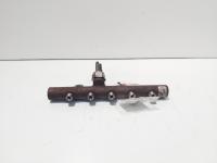 Rampa injectoare cu senzor Delphi, cod 8200669695, Renault Clio 3 1.5 DCI, K9K770 (id:703546)