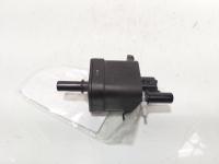 Supapa combustibil, cod 8200699179A, Renault Laguna 3 1.5 DCI, K9K780 (id:705012)