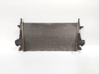 Radiator intercooler, cod GM13241751, Opel Insignia A Combi 2.0 CDTI, A20DTH (id:706025)
