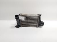 Radiator intercooler, cod 144961381R, Renault Clio 4 1.5 DCI, K9K608 (id:706462)