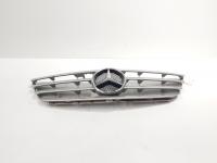 Grila bara fata centrala cu sigla, cod 1698800183, Mercedes Clasa B (W245) (id:707047)