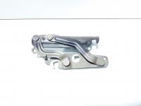 Set balamale capota fata, Ford Fiesta 6 (id:551148)