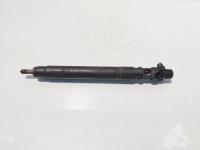 Injector, cod 9686191080, EMBR00101D, Ford Galaxy 2 2.0 TDCI, UFWA (id:716145)