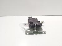 Broasca haion, cod 51958384, Fiat 500L (id:716528)