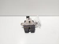 Broasca haion, Ford Focus 3 (id:716936)