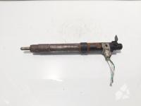 Injector, cod 9686191080, EMBR00101D, Ford Galaxy 2 2.0 TDCI, UFWA (id:718284)