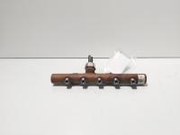 Rampa injectoare cu senzor Delphi, cod 8200669695, Renault Clio 3 1.5 DCI, K9K770 (id:703546)