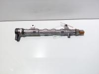 Rampa injectoare cu senzori, cod 03L130089Q, Audi A5 (8T3), 2.0 TDI, CGL (idi:711640)