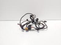Instalatie electrica senzori parcare spate, cod 8K0971104AE, Audi A4 Allroad (8KH, B8) (id:719772)