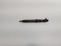 Injector, cod 9686191080, EMBR00101D, Ford Galaxy 2 2.0 TDCI, UFWA (id:719371)