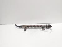 Rampa injectoare cu senzori, cod 9656917280, Land Rover Freelander 2 (FA) 2.2 DT, 224DT (id:720273)