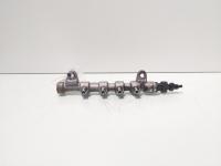 Rampa injectoare cu senzori, cod 55215208, 0445214192, Fiat Doblo (263) 2.0 M-Jet, 263A1000 (id:720512)