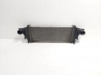 Radiator intercooler, Mercedes Clasa ML (W164) 3.0 CDI, OM642940 (id:721463)