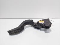 Pedala acceleratie, cod 8E1723523J, Seat Exeo ST (3R5) 2.0 TDI, CJC (id:721972)