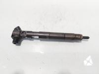 Injector Delphi, cod A6510700587, Mercedes Clasa E (W212) 2.2 CDI, OM651924 (id:722312)